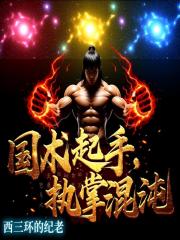 国术起手，执掌混沌