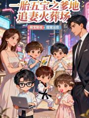 一胎五宝之爹地追妻火葬场