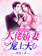 顾南绯秦宴