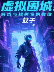 虚拟围城：游戏与规则的悖论