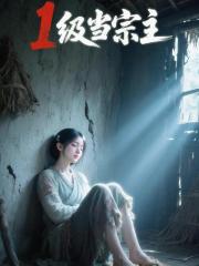 1级当宗主