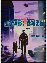 国安谍影：苍穹无眠