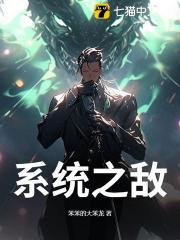 系统之敌