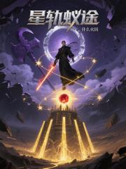 星轨蚁途