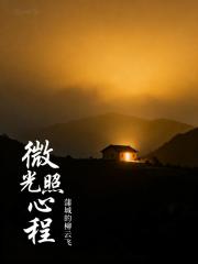 微光照心程