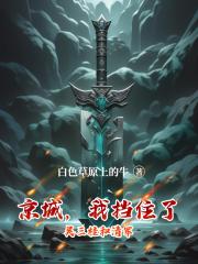 京城，我挡住了吴三桂和清军