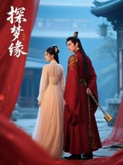 探梦缘