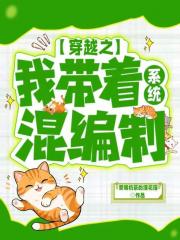 穿越之我带着系统混编制