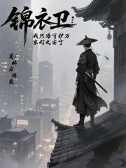 锦衣卫：我只为守护万家灯火安宁