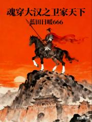 魂穿大汉之卫家天下