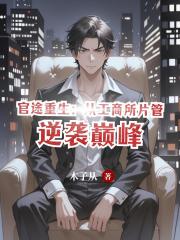官途重生：从工商所片管逆袭巅峰