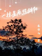 一抹星辰照斜阳