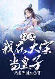 综武：我在大宋当皇子