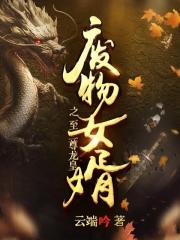 废物女婿之至尊龙皇