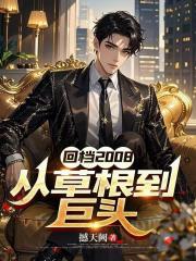 回档2008，从草根到巨头