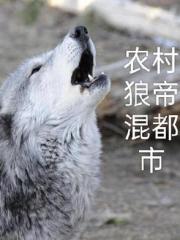 农村狼帝混都市