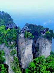 我说我的二零二五年