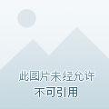 听说校草都单身
