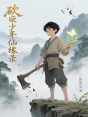 砍柴少年仙缘录