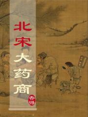 北宋大药商